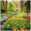 ARTland Glasbilder mit Blumenwiesen