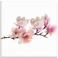 ARTland Glasbilder mit Magnolien
