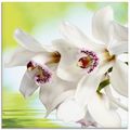 ARTland Glasbilder mit Orchideen