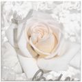 ARTland Glasbilder mit Rosen