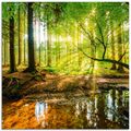ARTland Glasbilder mit Naturmotiven für Ihr Badezimmer