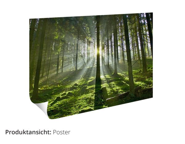 Jubiläumskarte „Both Of You“ – Romantisches Waldspaziergang-Design, Mit Goldfolie, 228x155 Mm, Aus Großbritannien