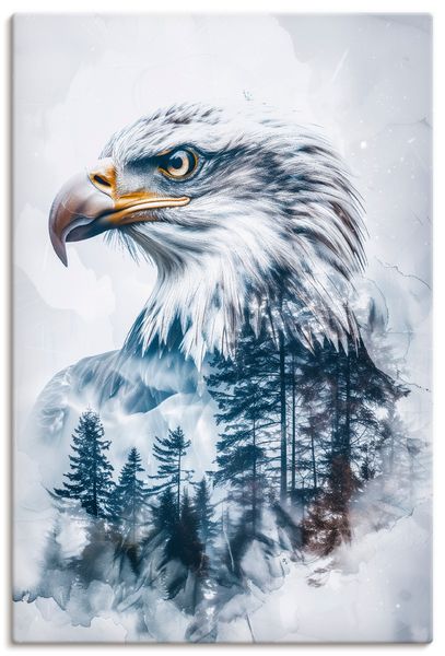 Leinwandbild von Steffen Gierok Weißkopfadler - ARTland Leinwandbild von Steffen Gierok Weißkopfadler