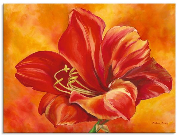 Leinwandbild von Andrea Schieler Amaryllis - ARTland Leinwandbild von Andrea Schieler Amaryllis
